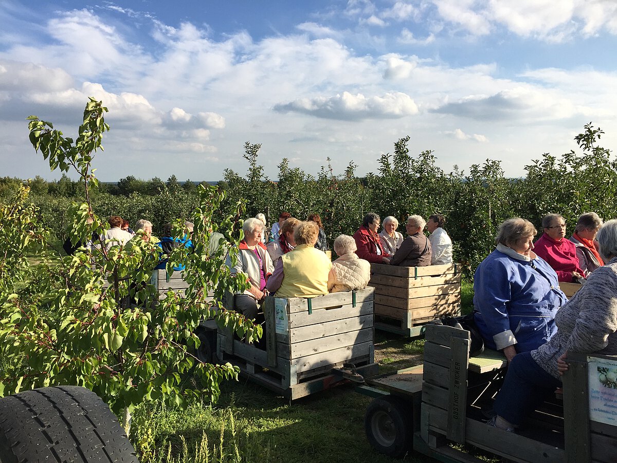 Fahrt mit unserer Apfelbahn durch die Plantagen